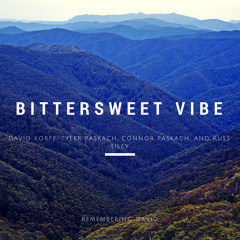 Irie Vib'n by Bittersweet Vibe (live)