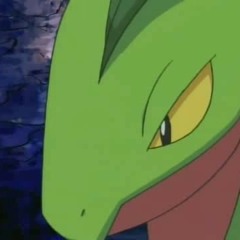 PMD Explorers of Darkness/Time/Sky - Through the Sea of Time (Grovyle's Sacrifice)