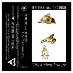 Textbeak And Jason Adams - Watching Birds Fall