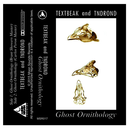 Textbeak And Jason Adams - Watching Birds Fall