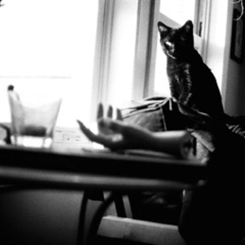 MUTEK2015PREVIEW006 - P.TRAFFORD