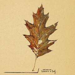 Memum - Became A Leaf