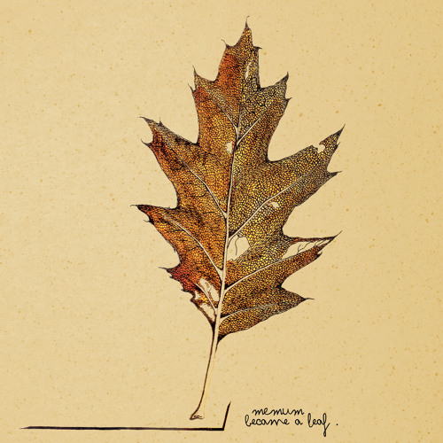 Memum - Became A Leaf