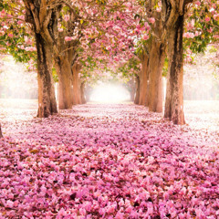 Spring melodies  part 3   2015 -21- 04