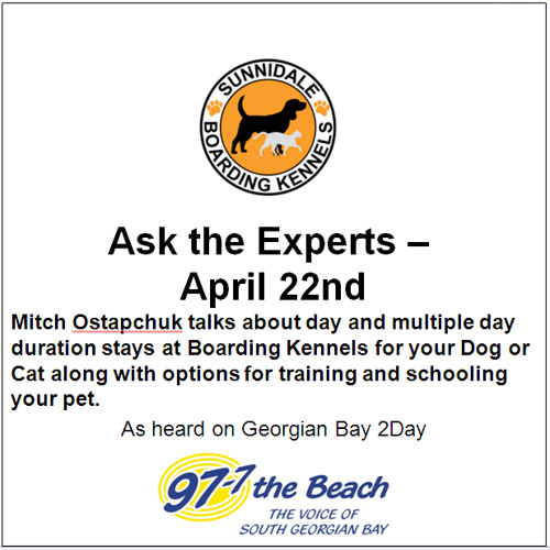 sunnidale dog training