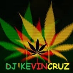 ELECTRO HOUSE DIRTY DUCH - WICKED MIX WEED HOUSE (DJ KEVINCRUZ) [Edit]
