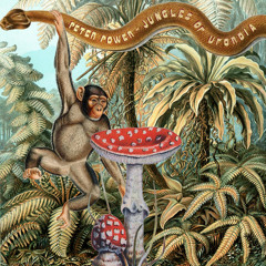 Peter Power - Jungle Work (Thomash Remix)