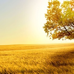 Celeste hija de la tierra