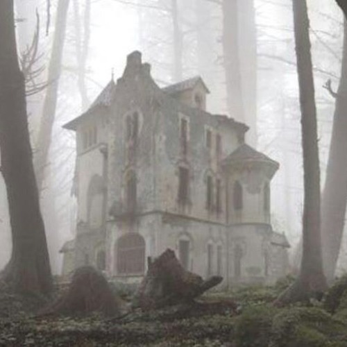 The Fog Came From Nowhere