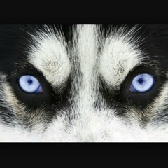 Into The Fray at Motivation