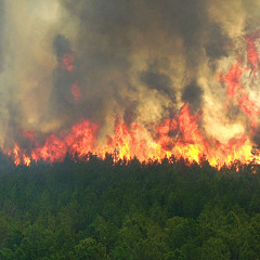 Earth, Wind, & Fire: A Computer Model Combination Could Unravel the Mysteries of Sudden Firestorms