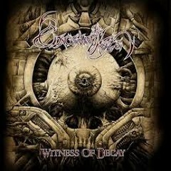 Vengeance Is The Law