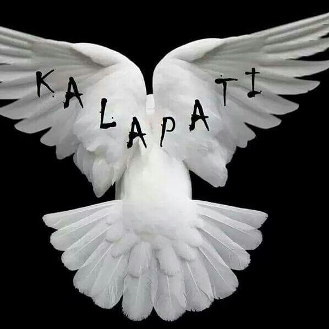 Dove Columbidae, Pigeon feathers fly material, template, animals png |  PNGEgg, image size:1080x1080