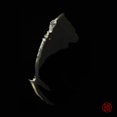 While They Were Sleeping