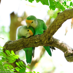 احن الى خبز امي