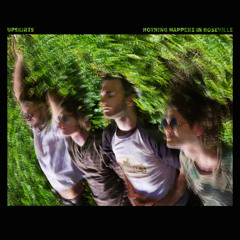 Nothing Happens In Roseville