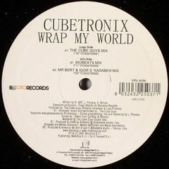 Cubetronix - Wrap My World (Mario Vzqz Bootleg 2015) [Demo]