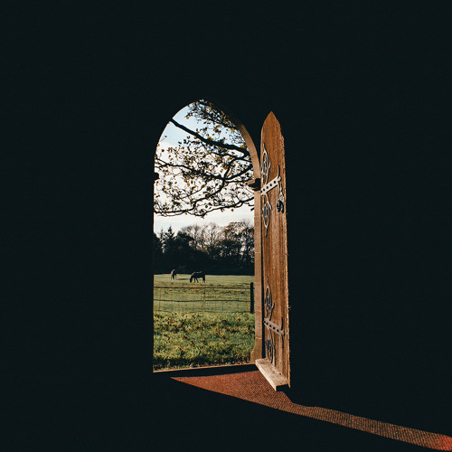 Stream SNWF Records | Listen to Lone Wolf // Lodge playlist online for