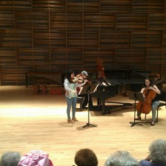 Piano Trio Movement 1: Largo - Allegro Non Troppo