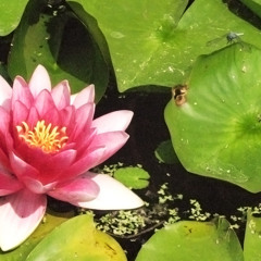 3 Degrees DJ sets Archive