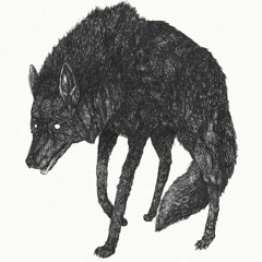 Old Gray - Wolves
