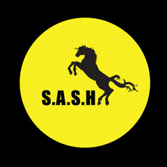 S.A.S.H Submission Mix - Downtempo; Funk, Disco, Light Tech & Progressive