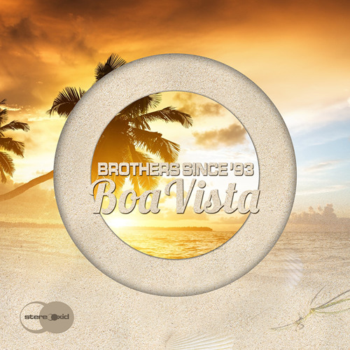 Brothers Since '93 - Fucking Hands