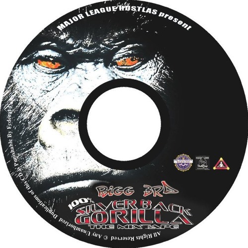Silver Back Gorilla - Bigg 3rd