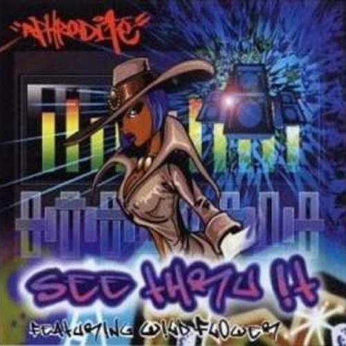 DJ Aphrodite feat. Wildflower - See Thru It (2000)