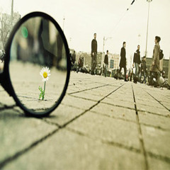 The Little Things In Life (Original Mix)