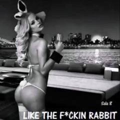 LIKE THE F - CKIN RABBIT - Flaq. Apache, MeroArte Y CdeH Feat.Gold Back