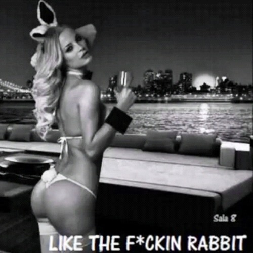 LIKE THE F - CKIN RABBIT - Flaq. Apache, MeroArte Y CdeH Feat.Gold Back