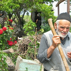 Tarık Suresi