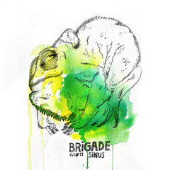 Brigade - Sinus
