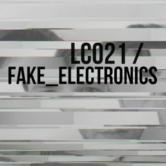 LC021 / Fake_Electronics