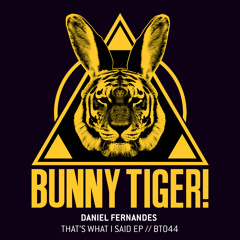 Daniel Fernandes -  That_s what i said (original mix)_BT044 OUT NOW!!!