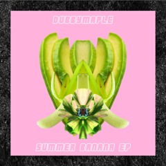 04 3D printer(DubbyMaple Bootleg)