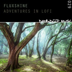 [DIMBI029] Fluxshine - Adventures in LoFi