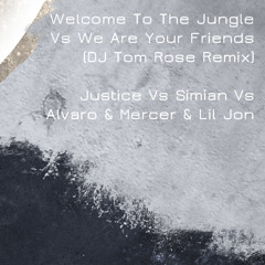 Welcome To The Jungle Vs We Are Your Friends (DJ Tom Rose Remix)