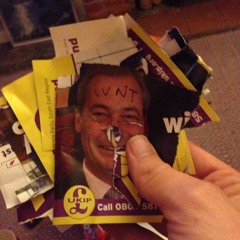 i will gouge your eyes out if you put another leaflet through my door you fucking UKIP cunt