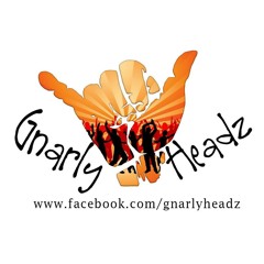 Powerful Thing (Phillip Sayce Cover)- The Gnarly Headz