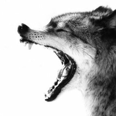 Rick Hirst - Snap (free download)