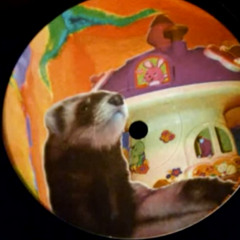 Furet (Mushroom Corp) - Pad Place