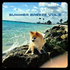 SUMMER BREEZE VOL.5