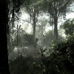 Lando - JUNGLE SKIT  (Lalo R)