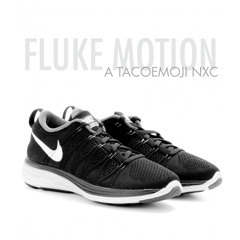 fluke motion
