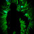 Artwork for Epic Rock - Nuclear (Epic Powerful Indie Pop)
