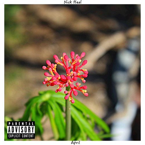 Stream Let's Get High by nick heal Listen online for free on SoundCloud