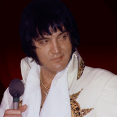 Elvis Presley - Unchained Melody (Live in Dallas 12/28/1976)