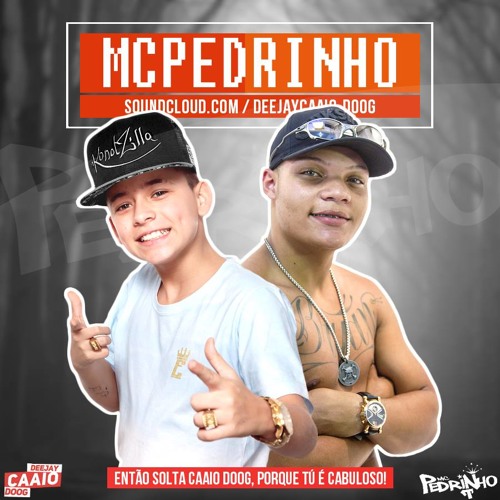 Mc Pedrinho - Vai Sentando Com Vontade { DEEJAYCAAIO DOOG }